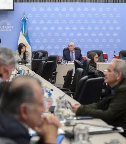 Jos� Luis Espert en la comisi�n de Presupuesto y Hacienda, que preside
