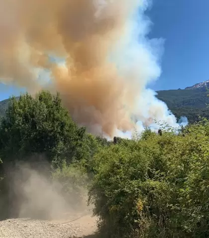 C�mo est� la normativa actual del Manejo del Fuego y su evoluci�n en los �ltimos a�os.