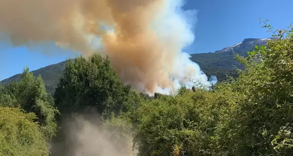 C�mo est� la normativa actual del Manejo del Fuego y su evoluci�n en los �ltimos a�os.