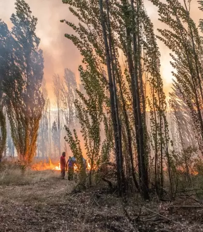 El fuego consumi� m�s de 18 mil hect�reas en la Patagonia.