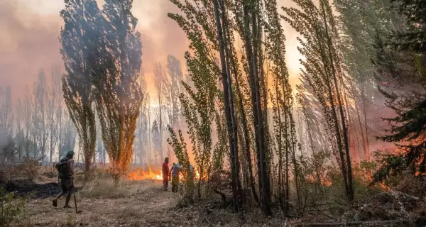 El fuego consumi� m�s de 18 mil hect�reas en la Patagonia.