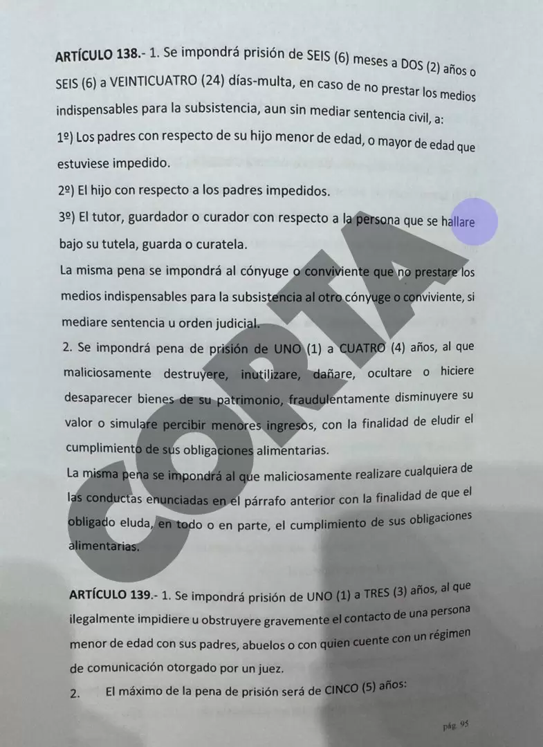 El borrador del nuevo Código Penal.