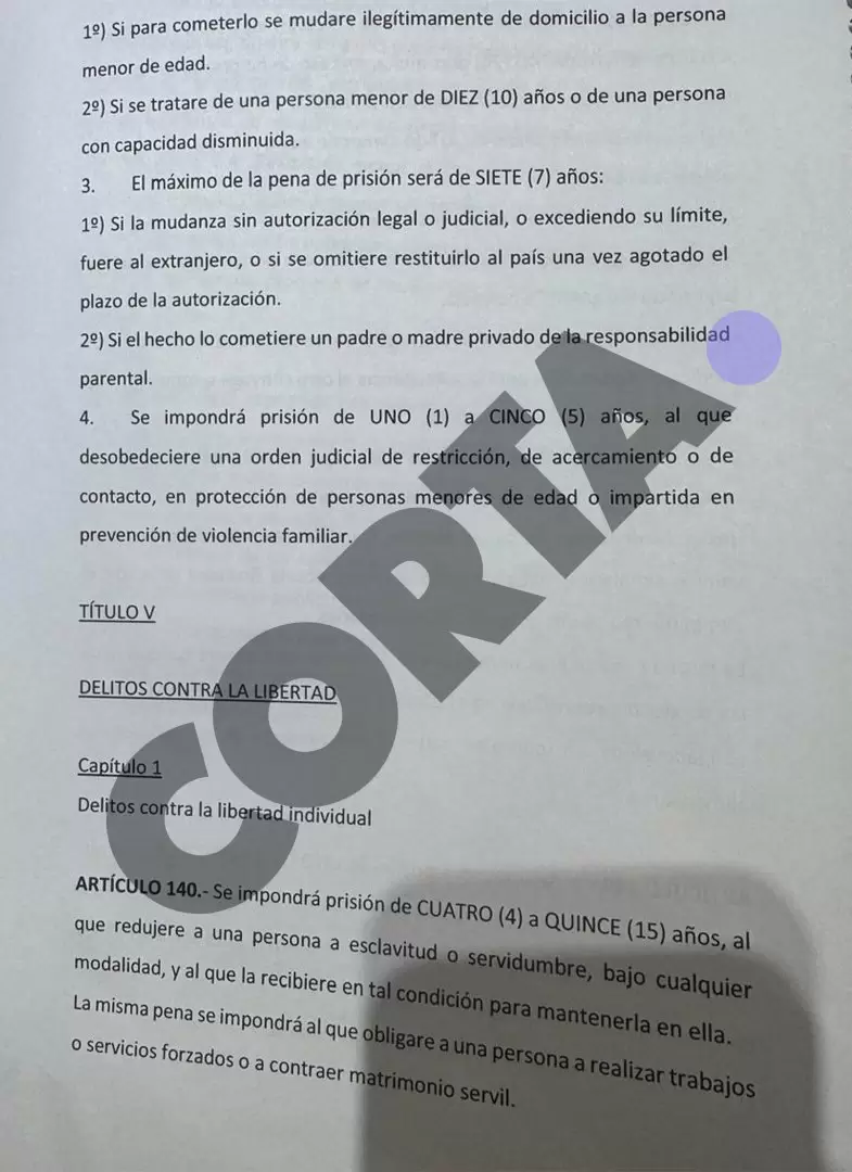 El borrador del nuevo Código Penal.