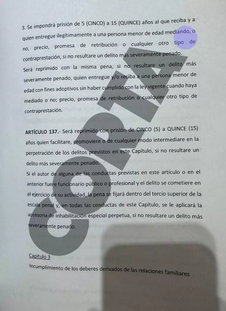 Artículo que prohíbe la venta de niños en el nuevo Código Penal.