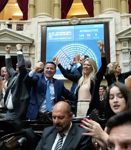 La bancada oficialista celebra la media sanci�n de la normativa