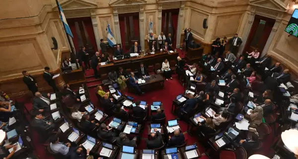 El Senado aprob� la suspensi�n de las PASO para este a�o.