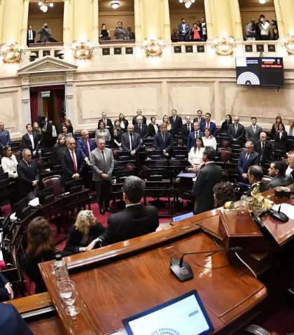El Senado de la Naci�n rechaz� el proyecto de Ficha Limpia.
