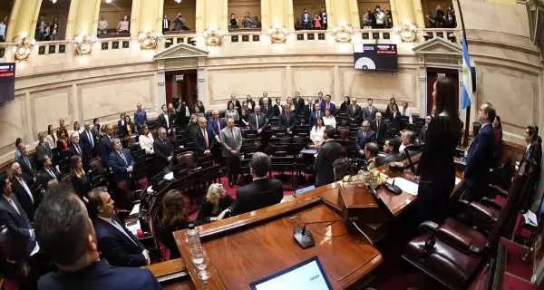 El Senado de la Naci�n rechaz� el proyecto de Ficha Limpia.