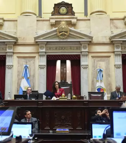 Sesi�n en el Senado por Ficha Limpia.