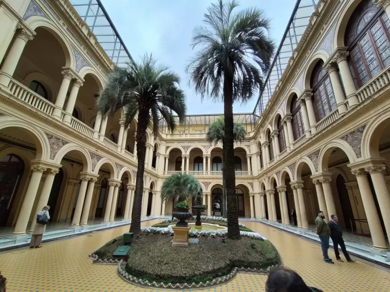 patio palmeras ceci
