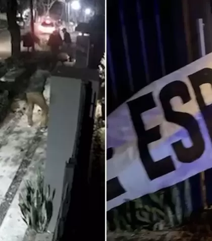 El pasacalle ubicado en el ingreso de la casa de Jos� Luis Espert.