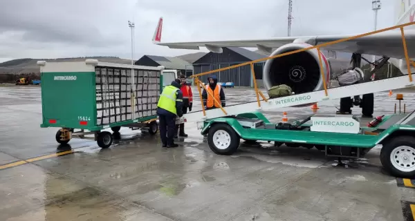 Intercargo