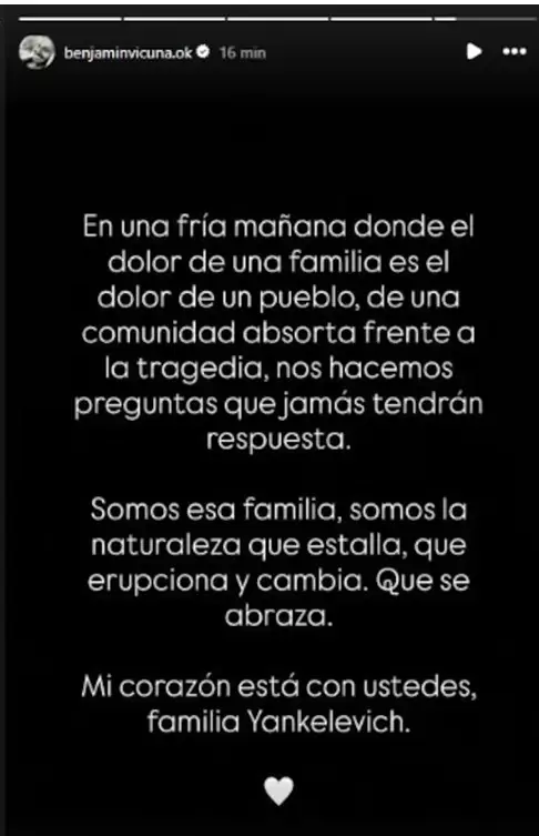 vicuna
