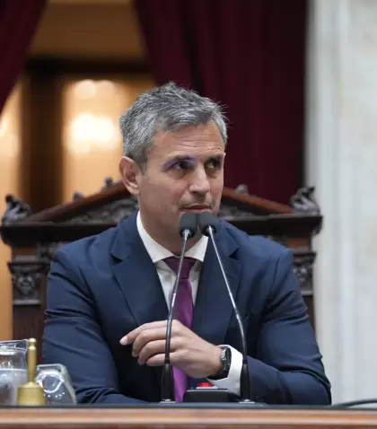 El presidente de la C�mara de Diputados, Mart�n Menem.