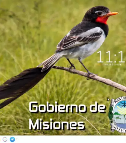 Misiones lanz� un sistema operativo libre: qu� significa.