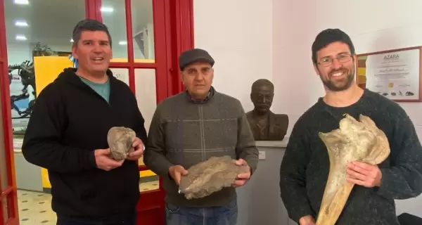 Ojos de buscador: C�mo un aficionado dio con un descubrimiento paleontol�gico en Entre R�os
