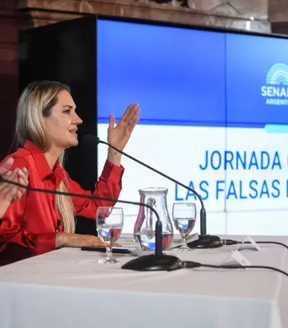 Sin datos oficiales, avanza el proyecto de ley contra las "denuncias denuncias falsas": el impacto sobre los casos reales.