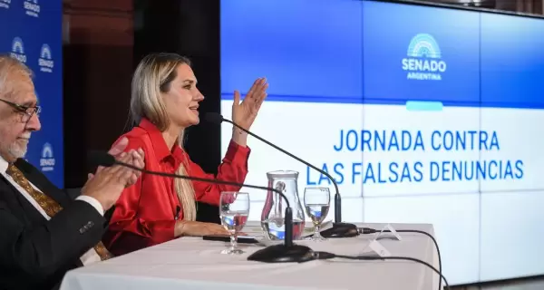 Sin datos oficiales, avanza el proyecto de ley contra las "denuncias denuncias falsas": el impacto sobre los casos reales.