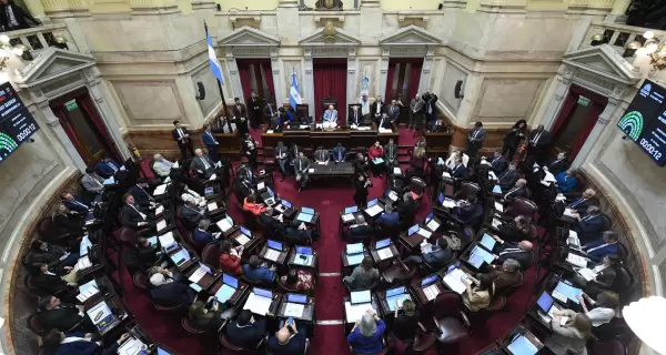 Senado
